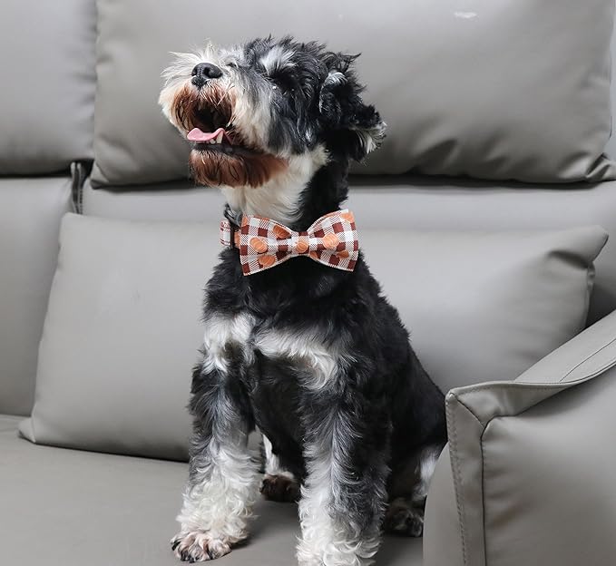 Unique Style Paws Cotton Dog Collar with Bow