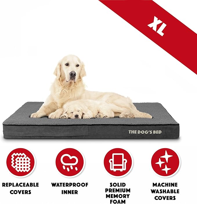 The Dog’s Bed Orthopedic Memory Foam Dog Bed 46x28x4, Pain