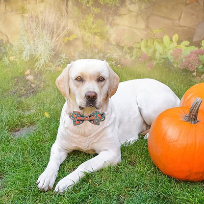 ARING PET Halloween Dog Collar-Cute Green Pumpkin Dog Collar with Bow