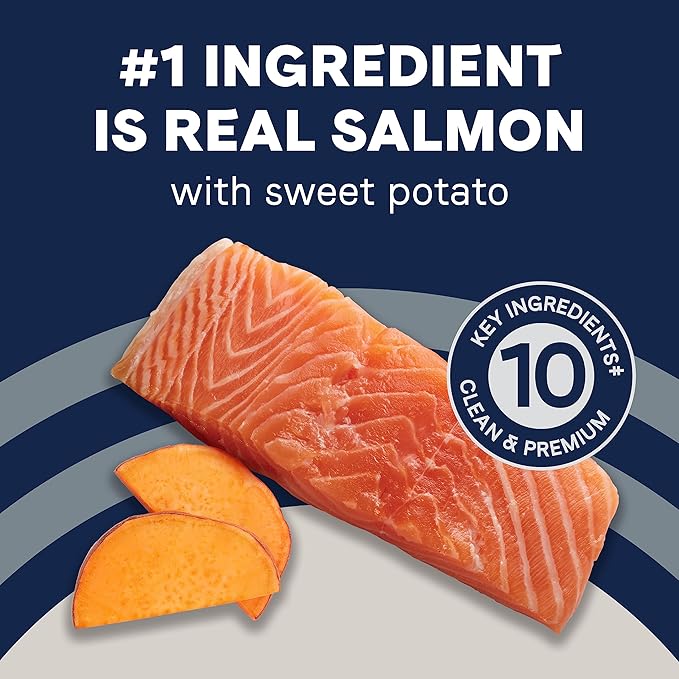 Canidae Pure Real Salmon & Sweet Potato Recipe Adult Dry Dog 22 LB