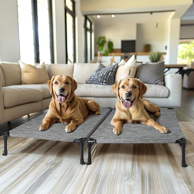 Veehoo 2 Pack Raised Dog Bed 42" x 30", Black CWC1803-L