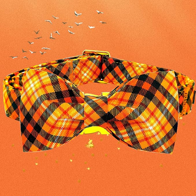 Elegant little tail Fall Dog Collar