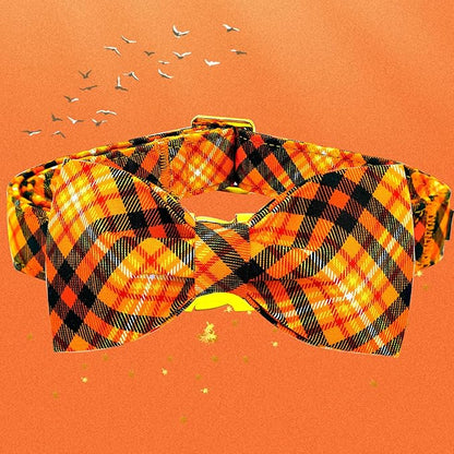 Elegant little tail Fall Dog Collar