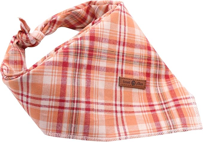 Lionet Paws Fall Dog Bandana Halloween Thanksgiving Day