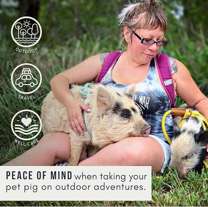 Mini Pig Harness & Leash (S/M) Fully Adjustable, Infinity Style Lead, Step-in Harness, Potbelly Pig Supplies, All-in One, Pig Leash, Ideal for Small & Medium Pet Pigs (Small, Eggshell Blue)