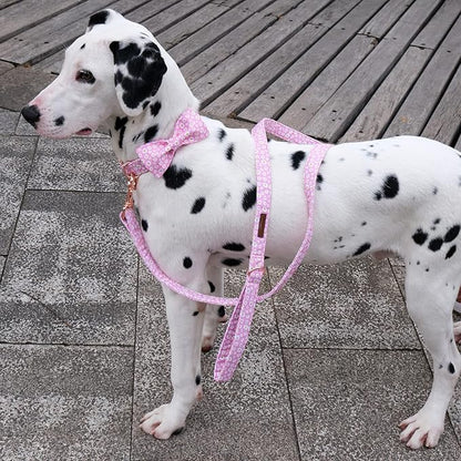 Summer Dog Leash Match Summer Dog Collar