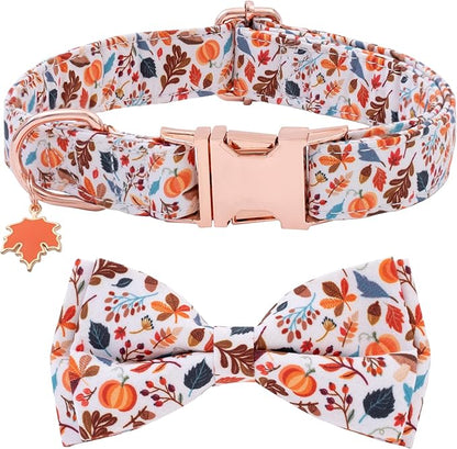 Faygarsle Bow Tie Halloween Fall Dog Collar