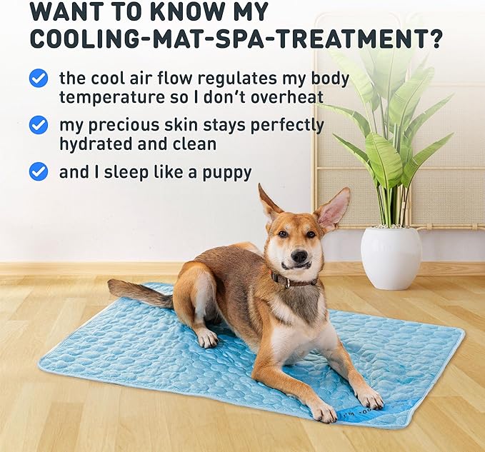 INSPECTOR TAIL Self Cooling & Traveling Mat +