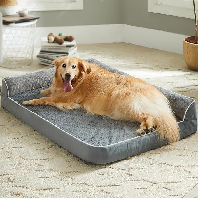 Orthopedic Dog Beds for Large Dogs