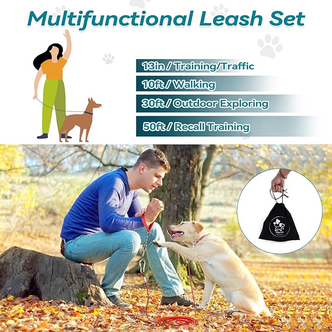 Tie Out Cable for Dogs Heavy Duty 10ft with 13in Short