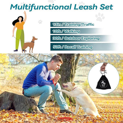 Tie Out Cable for Dogs Heavy Duty 10ft with 13in Short