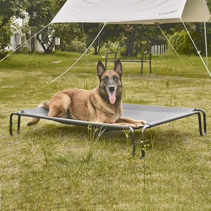 pettycare Elevated Outdoor Dog Bed 65 lbs,Grey