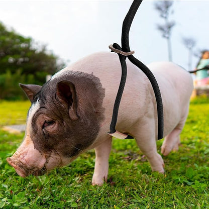 Mini Pig Harness & Leash, Adjustable 8 Feet Long Rope for Small to Medium Pet Pigs