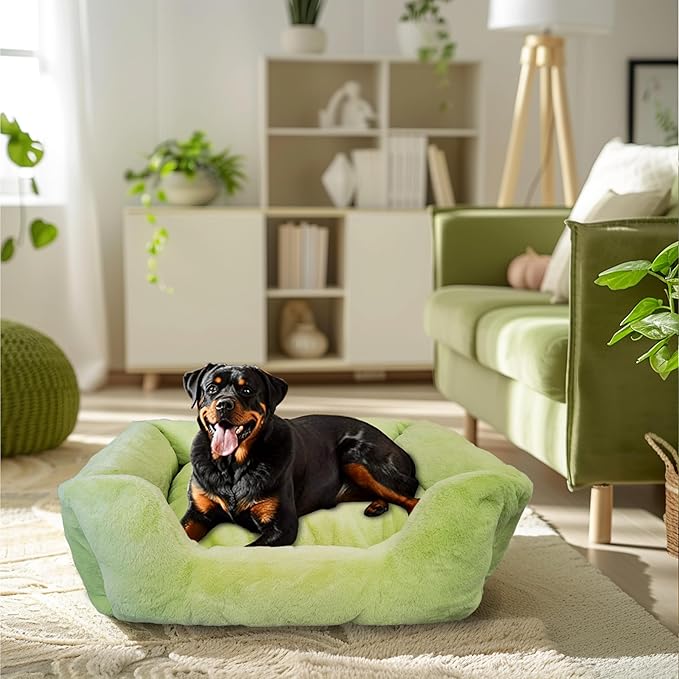 Dog Beds for Small Dogs (Green,31inch)