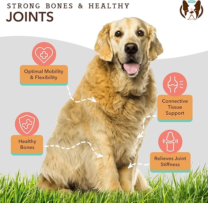 Healthy Joints, Skin and Coat Bundle for Dogs, Includes (1) 16 oz Bottle Natural Dog Company Skin and Coat Oil, (1) 16 oz Bottle Liquid Glucosamine, Food Topper, Dog's Fish Oil Supplement