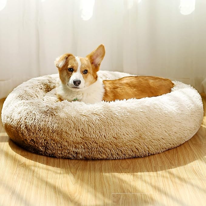 JEMA Calming Small Dog Beds for Small Dogs 22 Inch