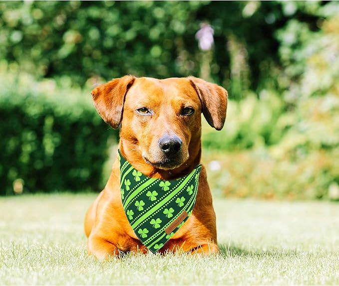 Realeaf St. Patrick's Day Dog Bandanas 2 Pack