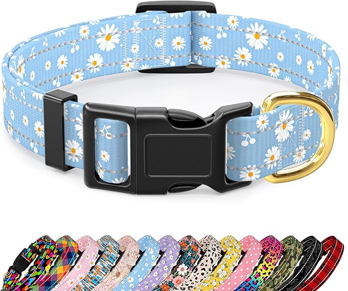 Reflective Dog Collar