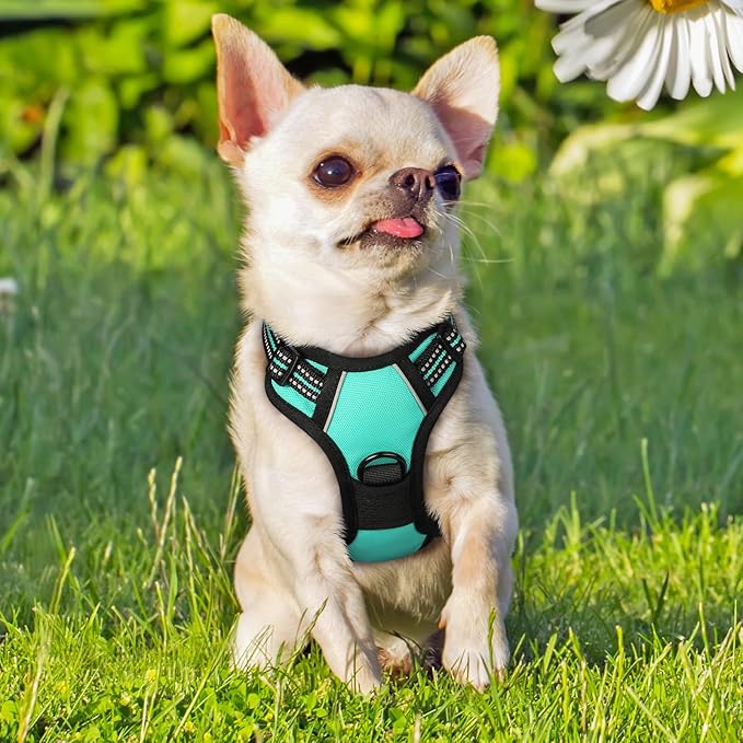 rabbitgoo Dog Harness, No-Pull Pet Harness with 2 Leash Clips, Adjustable Soft Padded Dog Vest, Reflective No-Choke Pet Oxford Vest with Easy Control Handle for Small Dogs, Turquoise, XS