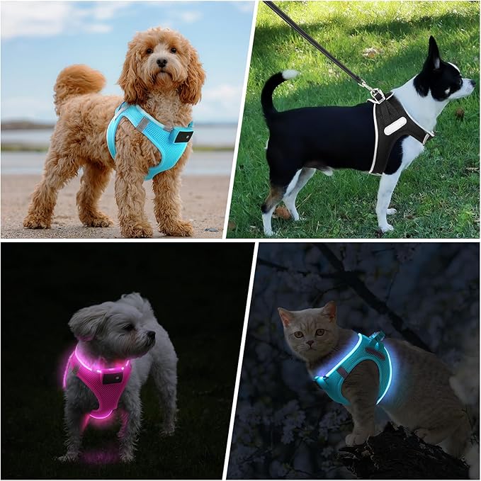 PcEoTllar Light Up Dog Harness, LED Dog Harness for Puppy Small Medium Dogs, Rechargeable No Pull Reflective Dog Harness, Flashing Lighted Dog Harness for Night Walking M