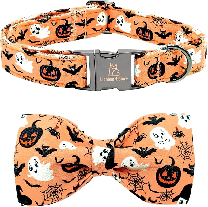 Lionheart glory Halloween Dog Collars