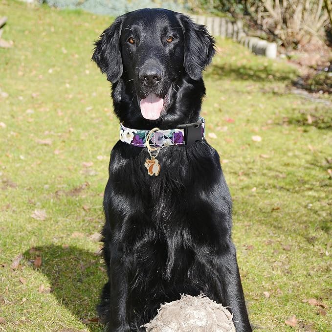 Flower Patterns Dog Collar with Accessories