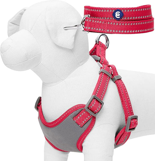 Blueberry Pet Essentials Pastel Color Reflective Matching Dog Harness Vest and Leash Set in Very Berry, Adjustable Harness with 5 ft Leash for Medium Dogs