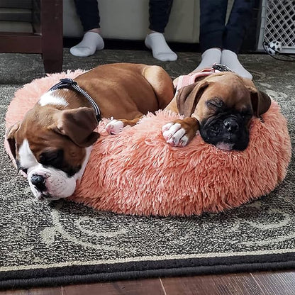 Dog Beds for Small Dogs 19 inches Anxiety 15 lbs