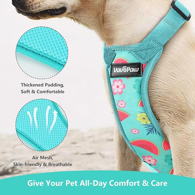 Dog Vehicle Safety Vest Harness, Adjustable Soft Padded Mesh Car Seat Belt Leash Harness with Travel Strap and Carabiner for Most Cars, XXL Size, Lake Blue Flower