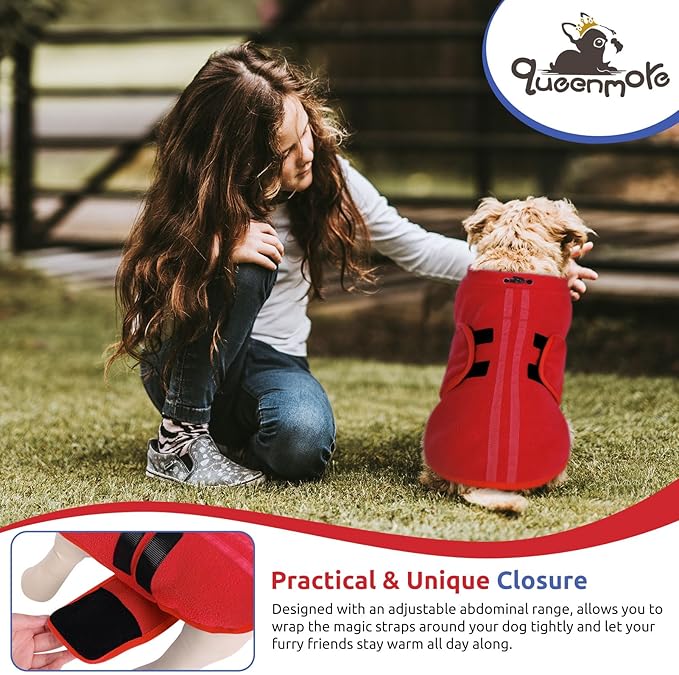 Queenmore Large Dog Sweaters