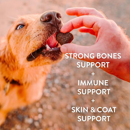 Shameless Pets Soft-Baked Dog Treats 3-Pack -