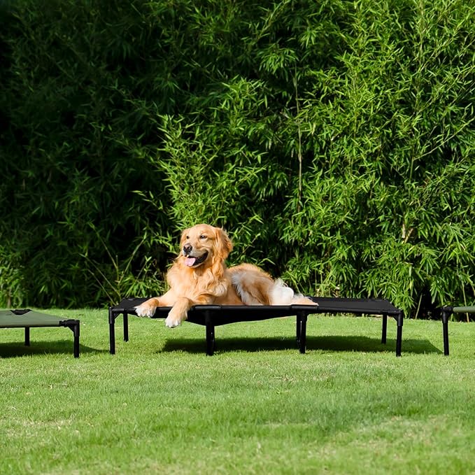 EHEYCIGA 50 Inch Elevated Dog Cot Beds for Extra Large Dogs