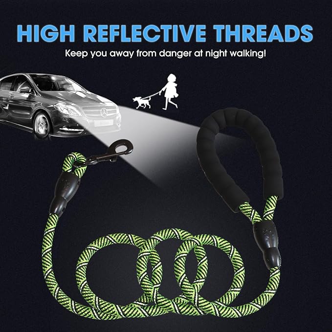 BAAPET 2/4/5/6 FT Dog Leash with Comfortable Padded Handle and Highly Reflective Threads for Small Medium and Large Dogs (5FT-1/2''