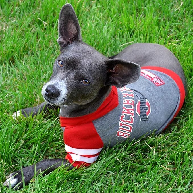 NCAA Ohio State Buckeyes Hoodie for Dogs & Cats, X-Small Collegiate Licensed Dog Hoody Tee Shirt. Sports Hoody T-Shirt for Pets. College Sporty Dog Hoodie Shirt.