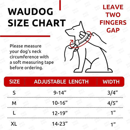 WAUDOG Waterproof Dog Collar