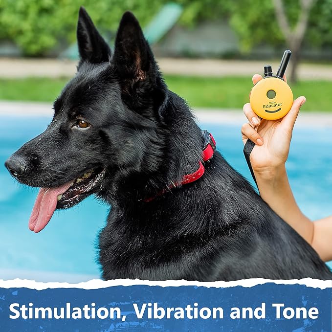 Mini Educator ET-302-1/2 Mile Rechargeable Dog Trainer Ecollar with Remote for Small