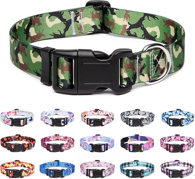 Adjustable Dog Collar with Patterns