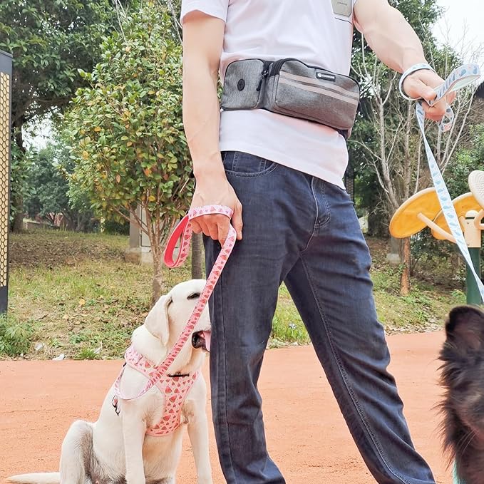 Hands Free Dog Leash with Dog Walking Fanny Pack for Large Medium Small Dogs