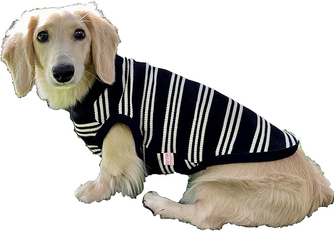 Dachshund Clothes for Dogs Mini and Adults T Shirts (L