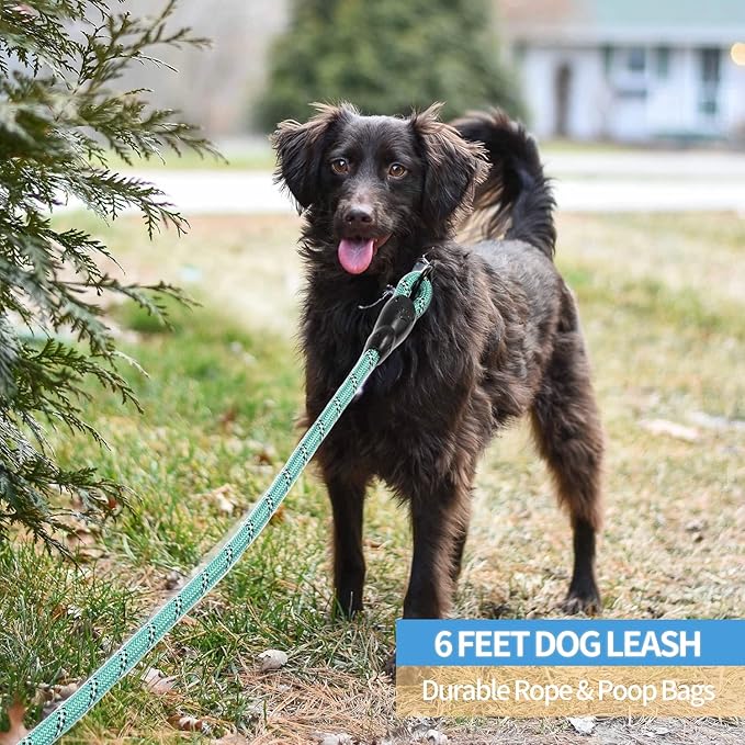 BAAPET 2/4/5/6 FT Dog Leash with Comfortable Padded Handle and Highly Reflective Threads for Small Medium and Large Dogs (6FT-1/2''