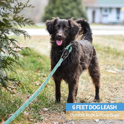 BAAPET 2/4/5/6 FT Dog Leash with Comfortable Padded Handle and Highly Reflective Threads for Small Medium and Large Dogs (6FT-1/2''