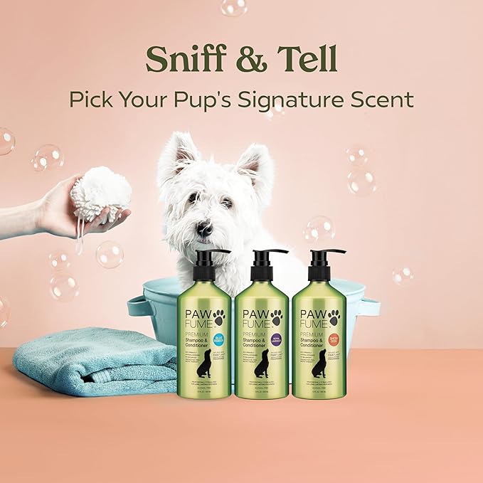 Pawfume Dog Shampoo and Conditioner – Hypoallergenic Dog Shampoo for Smelly Dogs – Best Dog Shampoos & Conditioners – Probiotic Pet Shampoo for Dogs – Best Dog Shampoo for Puppies (Show Dog, 4-Pack)