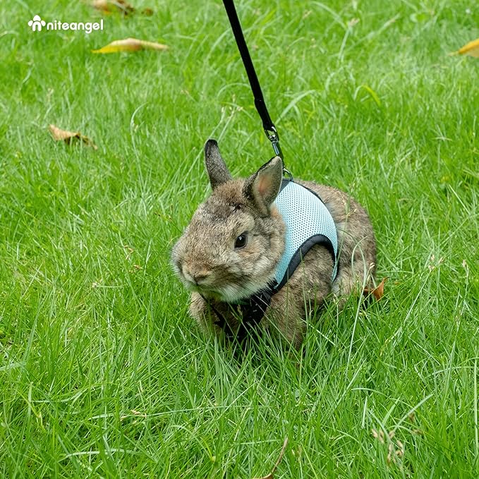 Niteangel Adjustable Soft Harness with Elastic Leash for Rabbits (M, Blue)