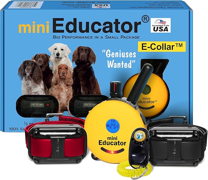 Mini Educator ET-302-1/2 Mile Rechargeable Dog Trainer Ecollar with Remote for Small