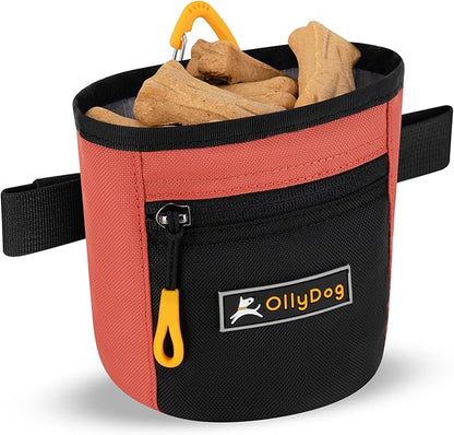 OllyDog Goodie Treat Bag, Dog Treat Pouch, Waist Belt Clip for Hands-Free Training, Magnetic Closure, Dog Training and Behavior Aids, Three Ways to Wear (Reef)