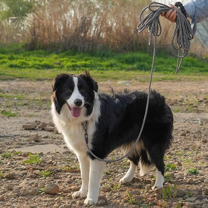 NTR Long Dog Leash 50FT Check