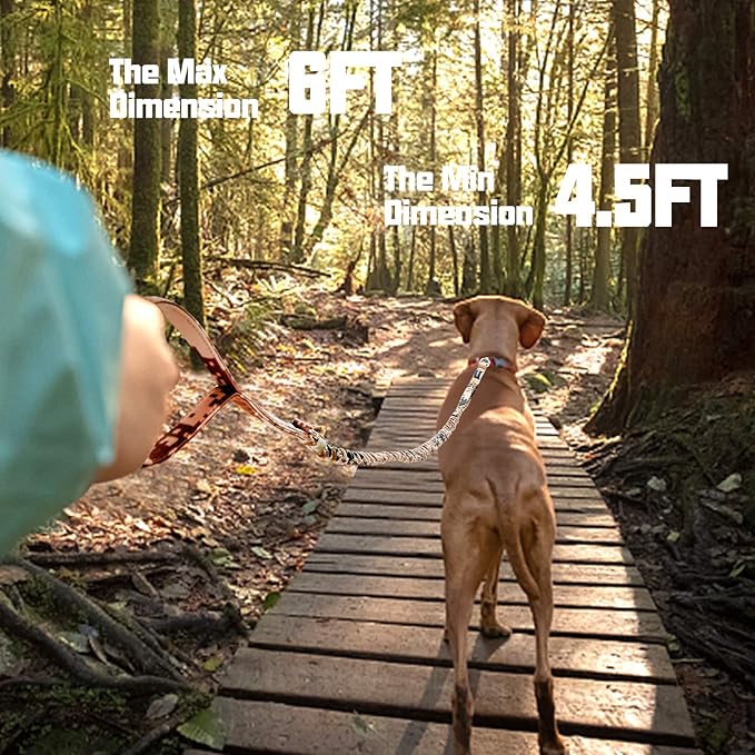 AUROTH Dog Leash Large Dogs 6FT, 2