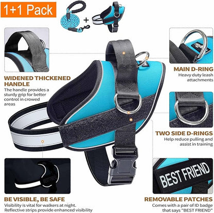 Haapaw Essential Dog Harness, No Pull Pet Vest with 3 Leash Clips, No Choke, Reflective, Adjustable and Padded, for Easy Walking and Training for Large Dogs(L, Blue)