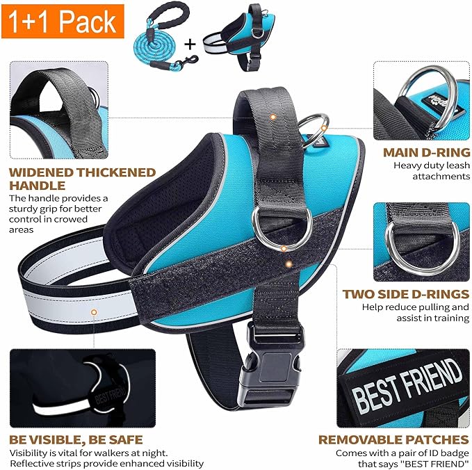 Haapaw Essential Dog Harness, No Pull Pet Vest with 3 Leash Clips, No Choke, Reflective, Adjustable and Padded, for Easy Walking and Training for Small Dogs(XS, Blue)