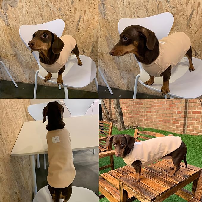 Dachshund Clothes for Dogs Mini and Adults T Shirts (XL